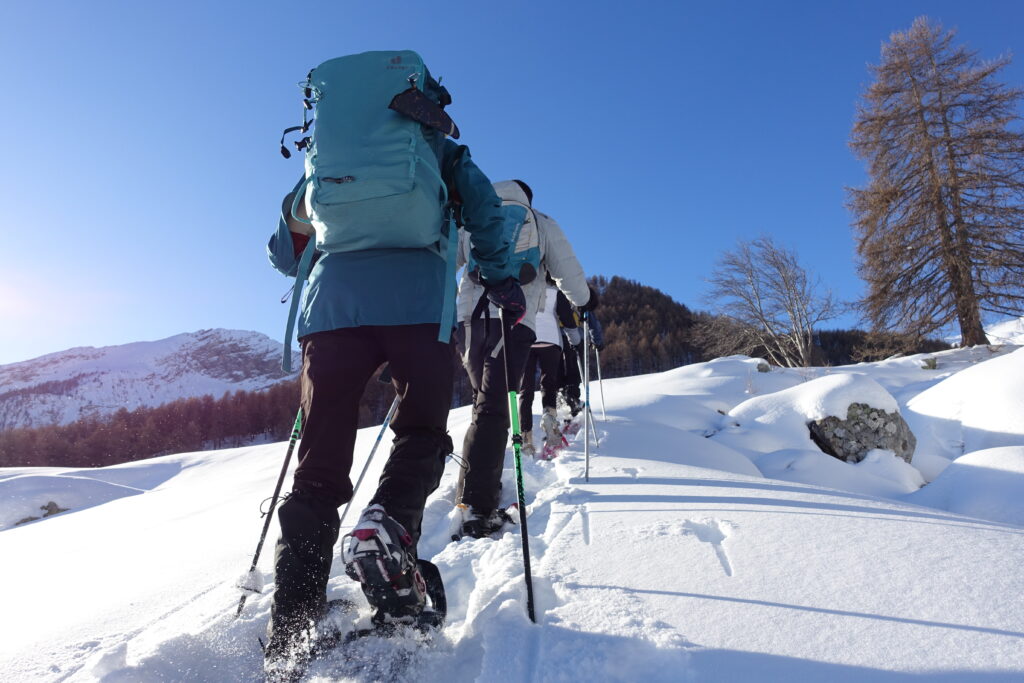 Randonneur·euses en raquettes dans la neige