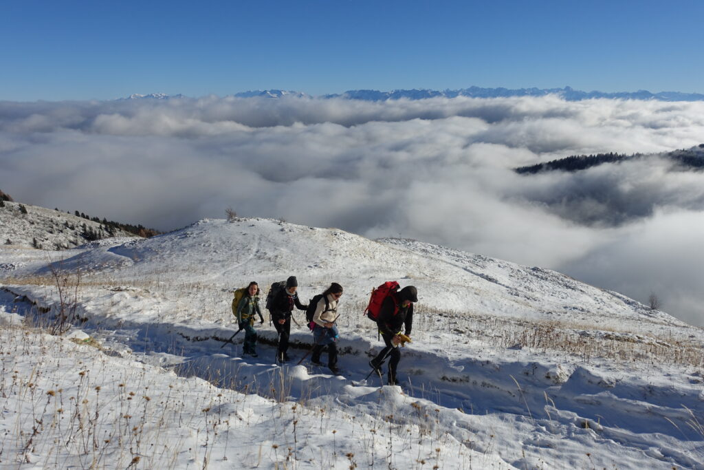 Group of people sow-shoeing